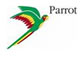 Parrot